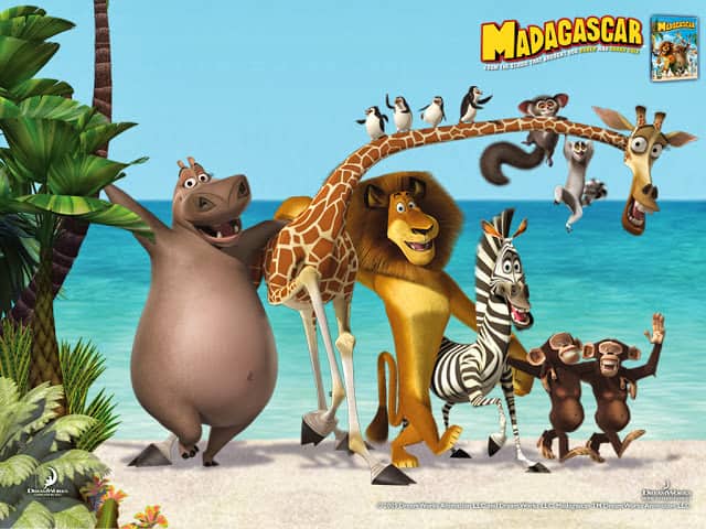 Discover the Magic: Madagascar Merch at the Official Shop!